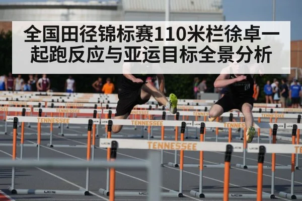 110m hurdles race